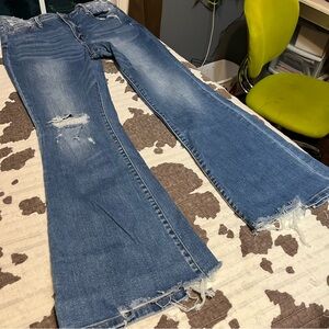 Flying Monkey High Rise Flare Stretch Jean